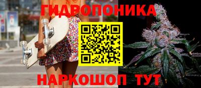 крисы Кимры