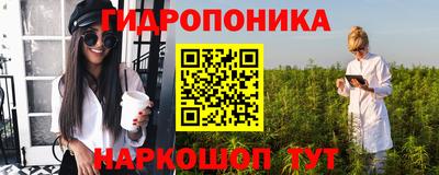 spice Кингисепп