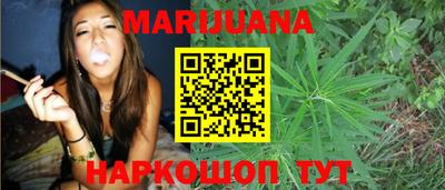 spice Кингисепп