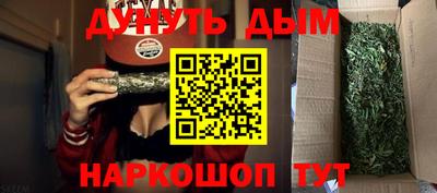 spice Кингисепп