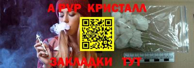 spice Кингисепп