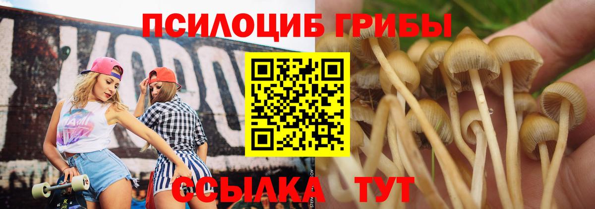 Галлюциногенные грибы прущие грибы Конаково