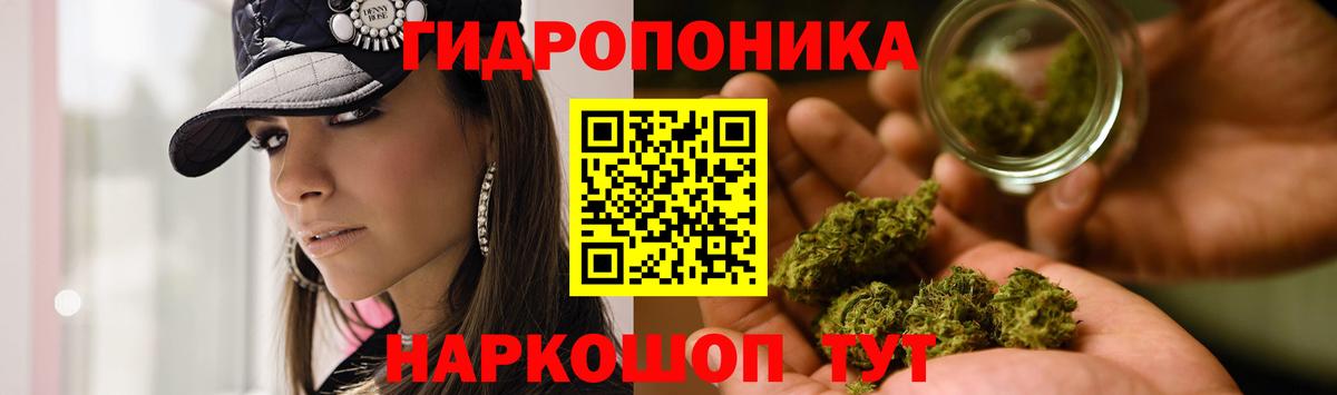 Шишки марихуана план  Бошки Шишки AK-47  МАРИХУАНА MAZAR  Конаково  Вход с VPN  Конопля конопля 